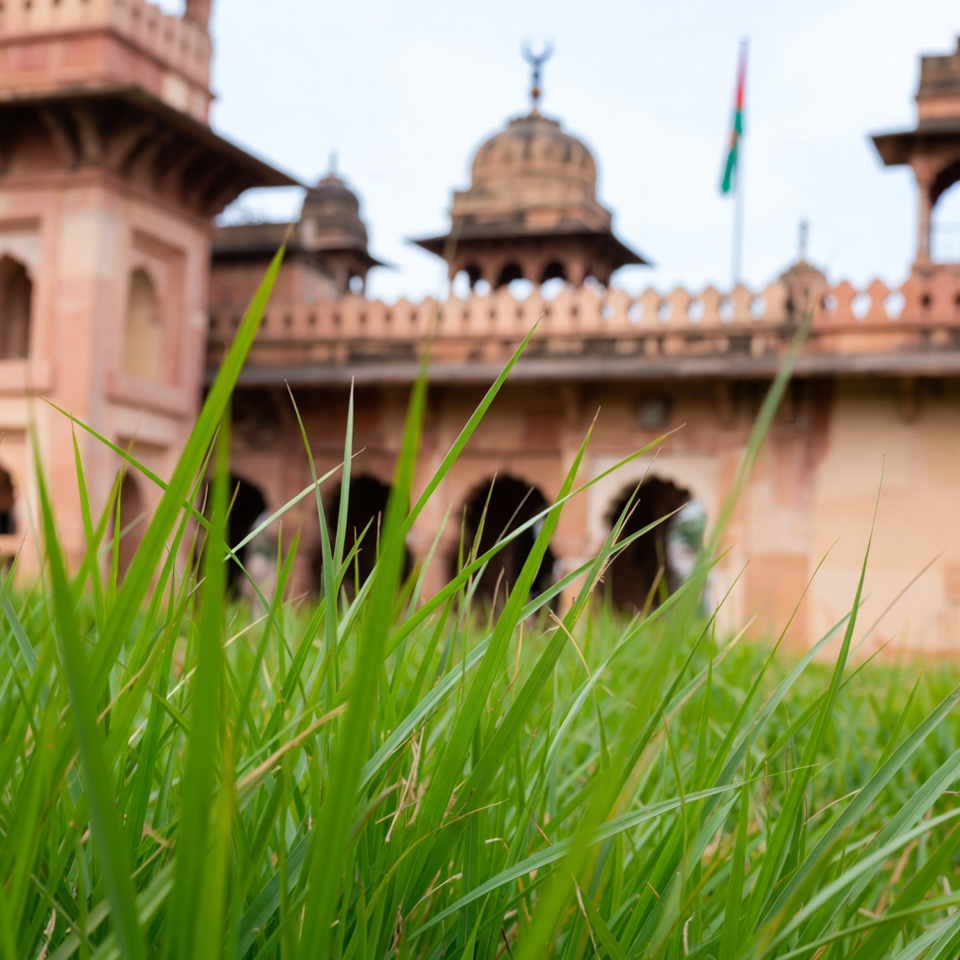 बरमूडा घास के अविश्वसनीय स्वास्थ्य और पर्यावरणीय लाभ जो आपको जानने चाहिए