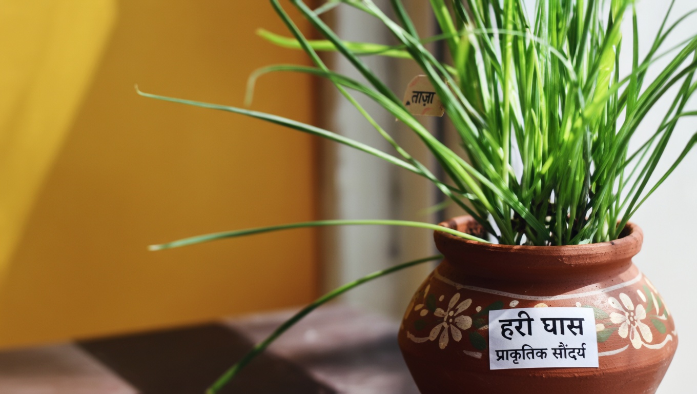 गुड़हल की पत्तियाँ और फूल: फायदे और घरेलू उपयोग