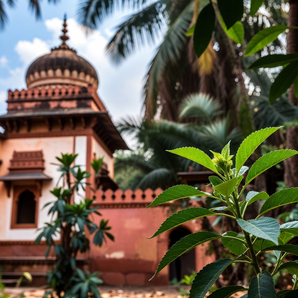 आंखों के स्वास्थ्य को प्राकृतिक रूप से बेहतर बनाने के लिए 5 आवश्यक पत्ते