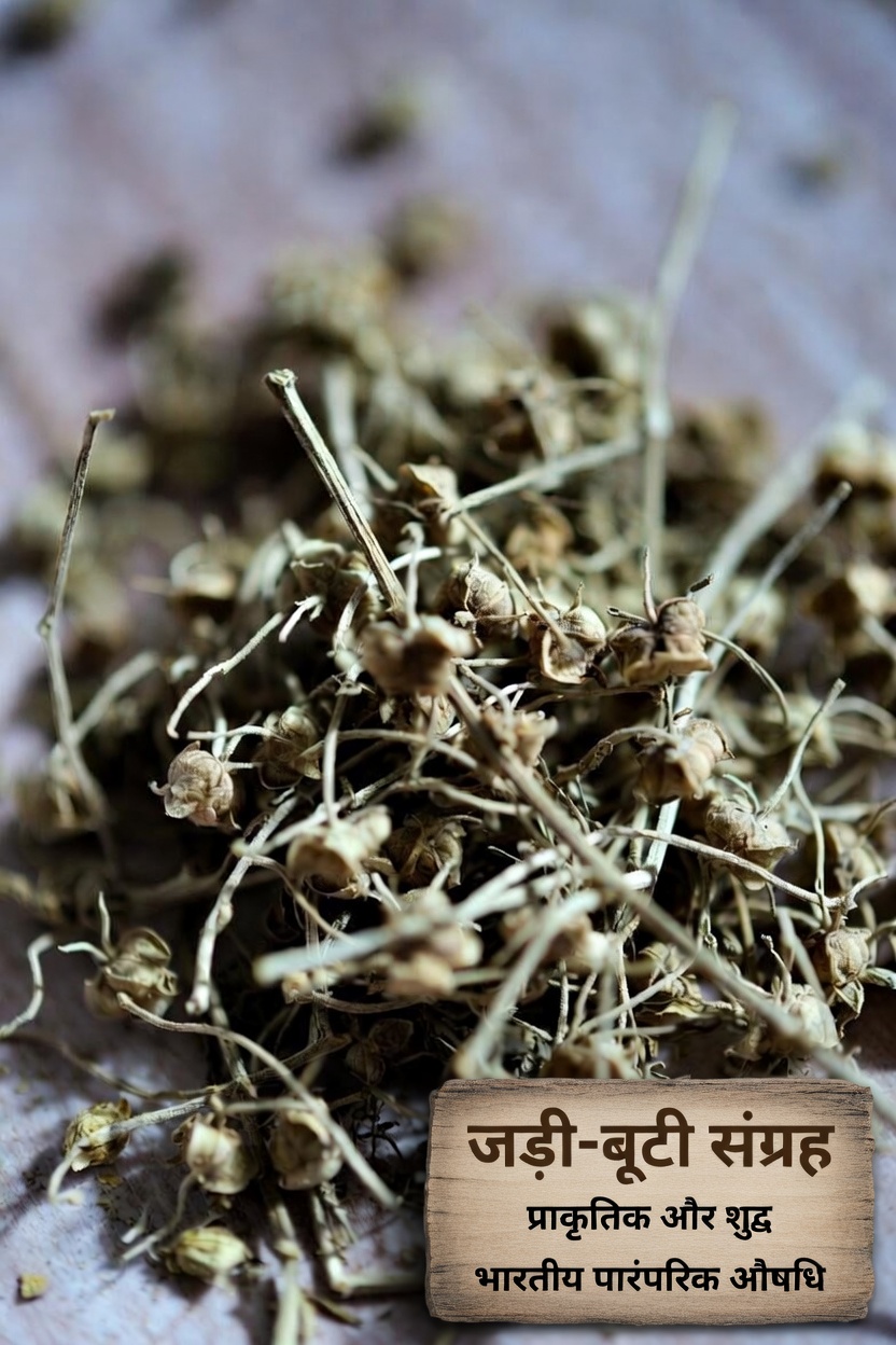 10 आम दवाएँ जो आपके गुर्दों को नुकसान पहुँचा सकती हैं और संभवतः प्रोटीनुरिया को बढ़ा सकती हैं