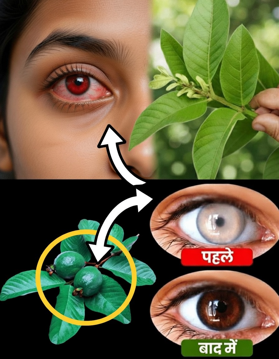 क्या अमरूद खाने से आंखों की सेहत बेहतर हो सकती है? जानें प्रकृति का पोषक तत्वों से भरपूर विकल्प