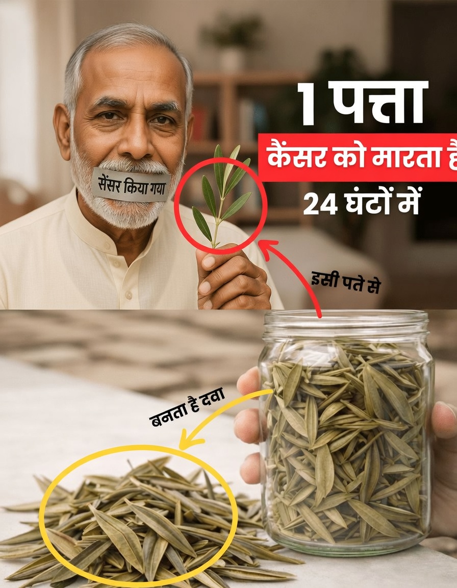 वह अनदेखा पत्ता जो आपके शरीर को कैंसर कोशिकाओं से लड़ने में मदद कर सकता है