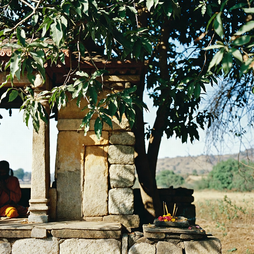 दृष्टि के लिए चमत्कारी जड़ी-बूटी: मोतियाबिंद और नेत्र स्वास्थ्य के लिए प्राकृतिक समाधान