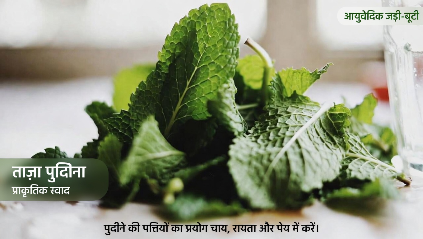 ओरिगैनो ओरेहोन: वह कम-ज्ञात जड़ी-बूटी जो स्वाभाविक रूप से आपकी नज़र की रक्षा कर सकती है