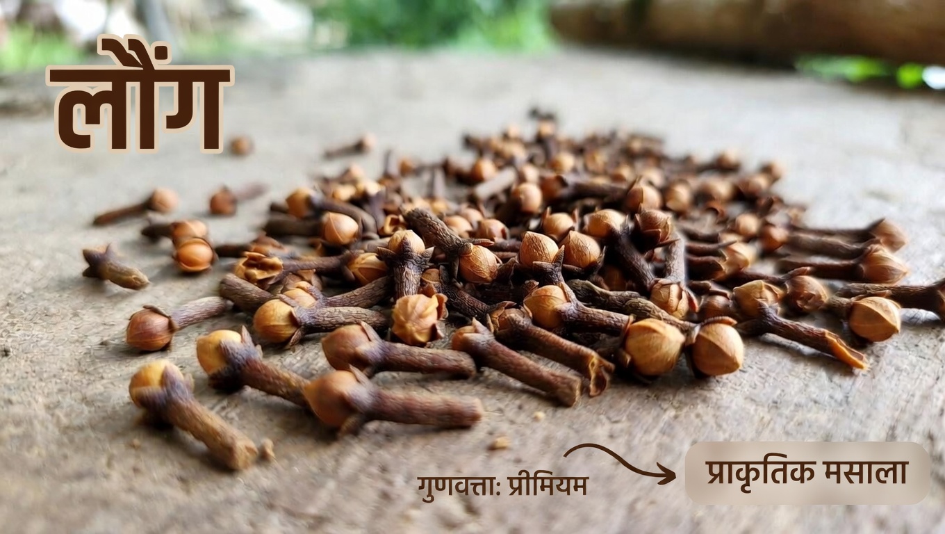 उम्र बढ़ने के साथ युवा दिखने वाले बालों के लिए लौंग की संभावनाओं की खोज करें