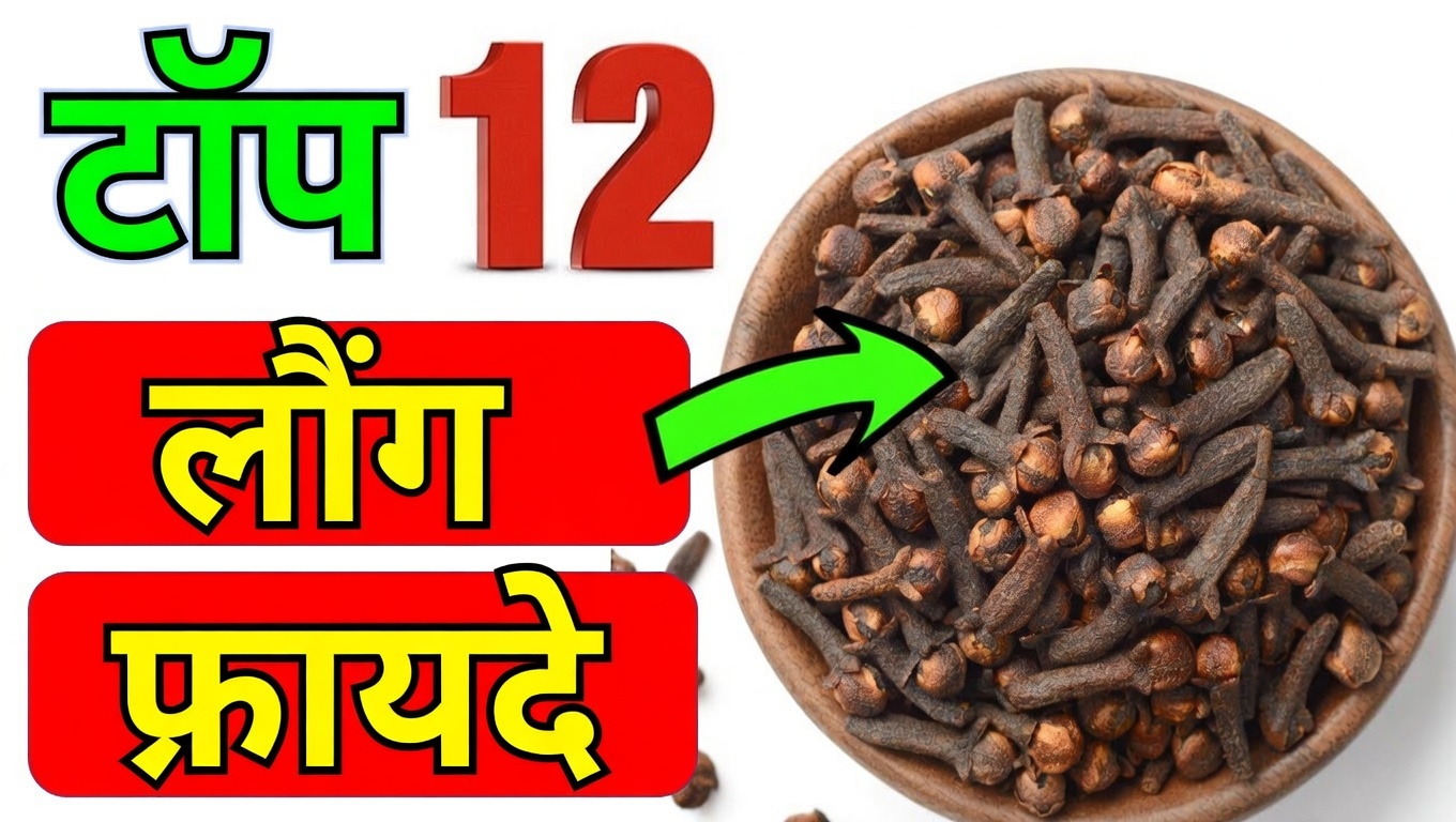 फेफड़ों से इंफेक्शन दूर करने और बलगम साफ करने वाली 15 सबसे प्रभावी जड़ी-बूटियाँ