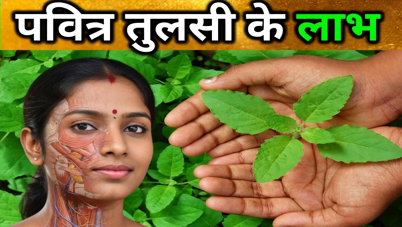 फेफड़ों से इंफेक्शन दूर करने और बलगम साफ करने वाली 15 सबसे प्रभावी जड़ी-बूटियाँ