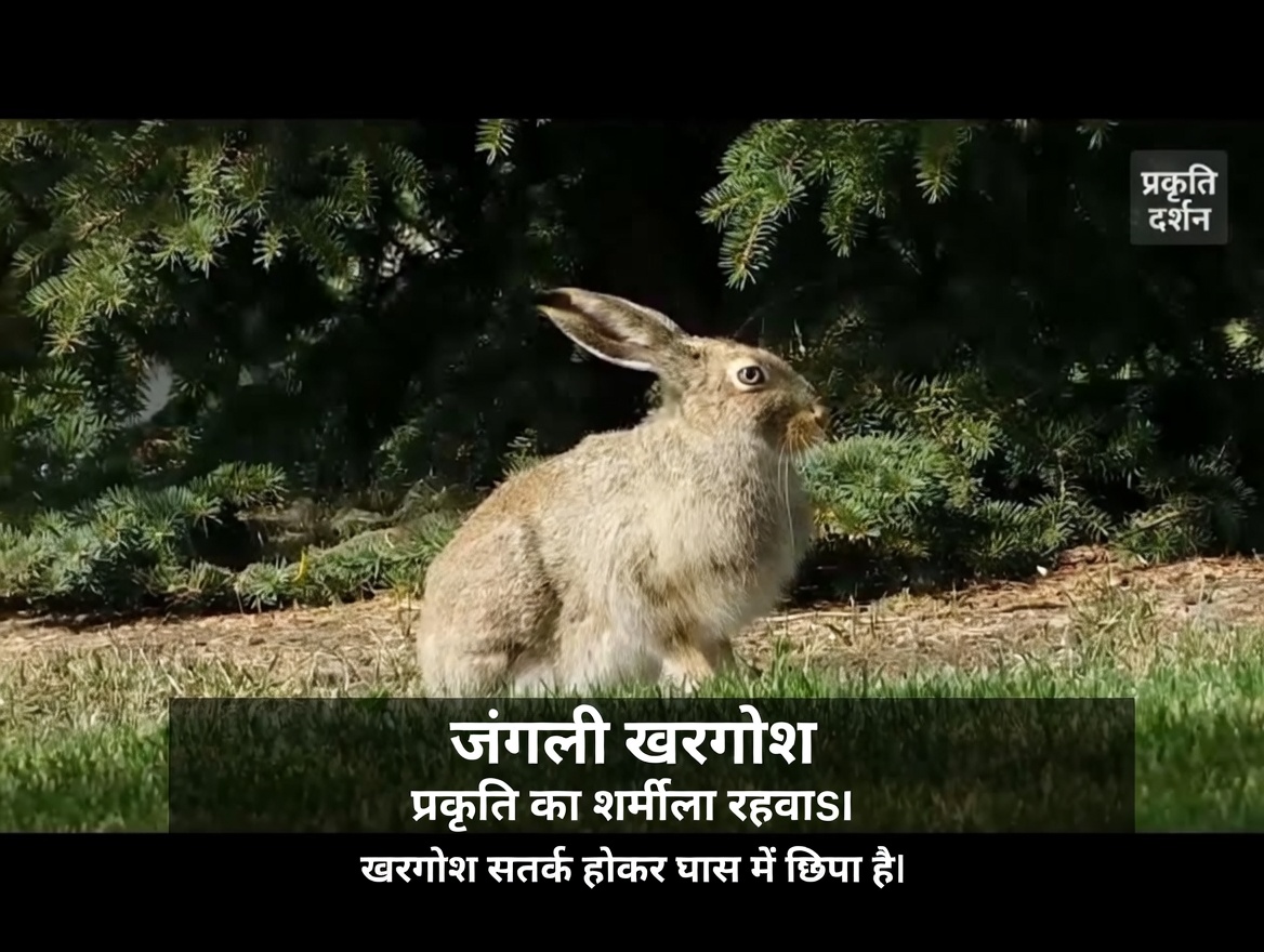 पूरा एक महीना लौंग का पानी पिएँ और ये 5 बातें होंगी