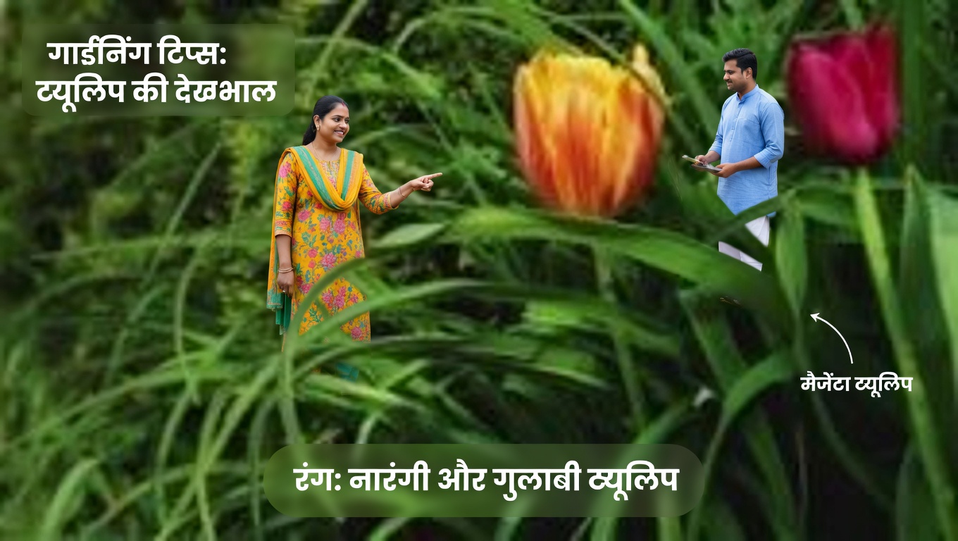 अमरूद के पत्तों के 25 अद्भुत लाभ