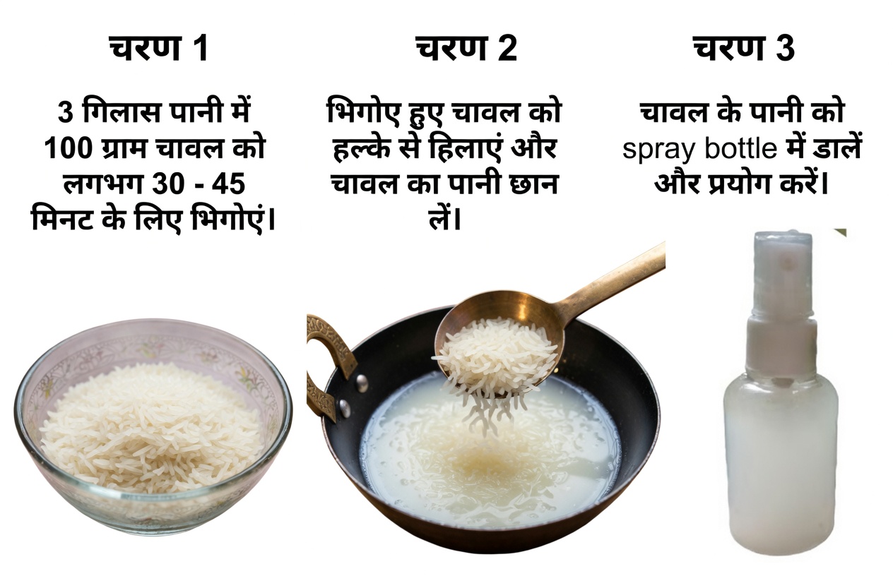 बालों की वृद्धि के लिए चावल का पानी – घने बाल पाने का प्राकृतिक उपाय