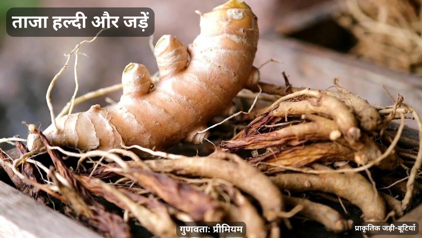 60 से ऊपर हैं? रोज़ाना की सैर में स्वस्थ रक्त संचार और मज़बूत कदमों के लिए इन 3 हर्बल चायों को आज़माएँ