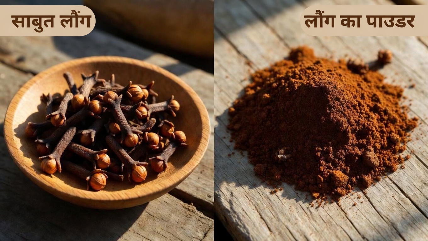 रोज़ाना लौंग चबाने के संभावित स्वास्थ्य लाभ जानें: एक सरल प्राकृतिक आदत