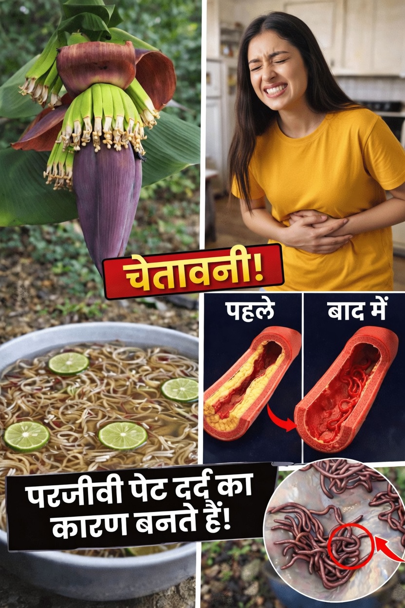 केले के फूल की पोषण क्षमता की खोज: पारंपरिक सामग्री में आधुनिक रुचि