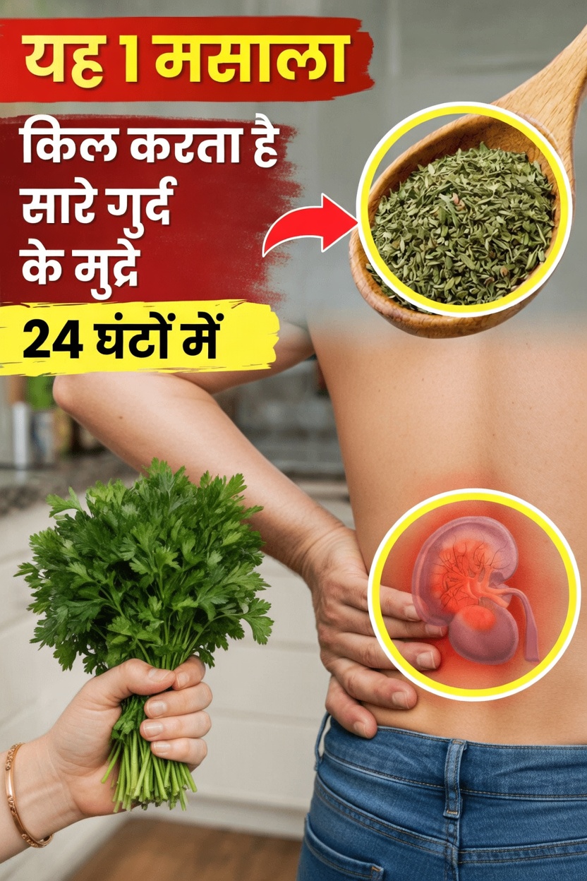 जैसे-जैसे हम उम्रदराज़ होते हैं, गुर्दों का स्वास्थ्य क्यों अधिक महत्वपूर्ण हो जाता है