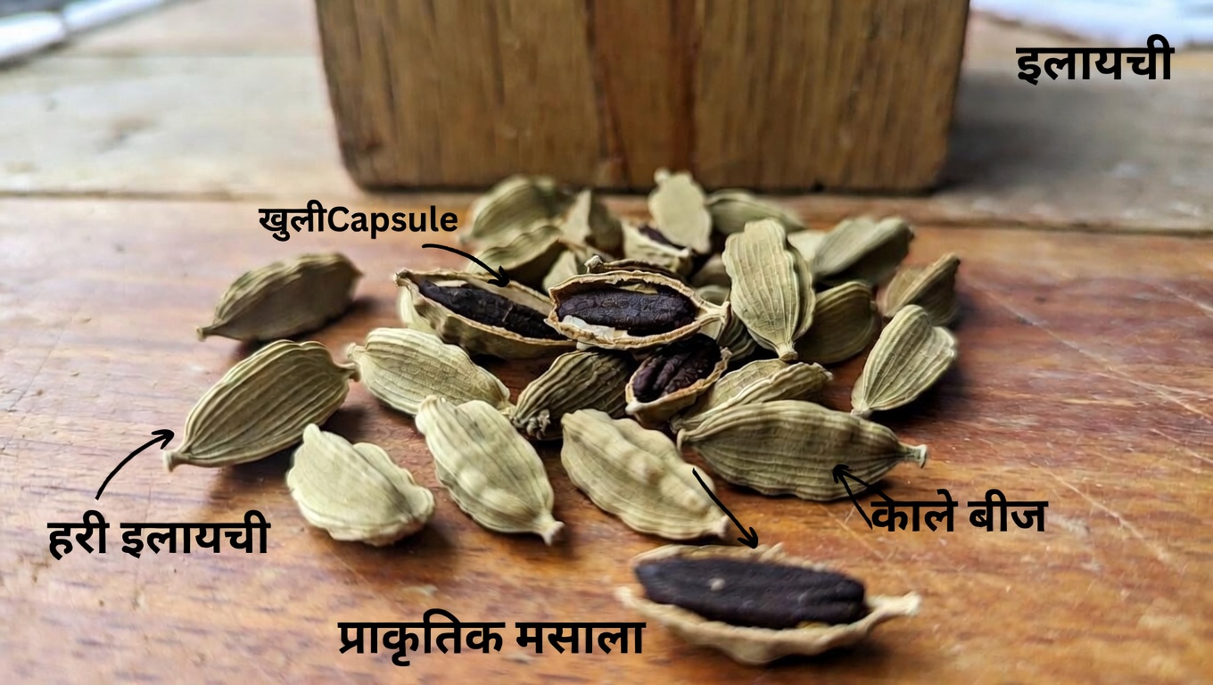 आप अपनी दैनिक दिनचर्या में इलायची को किन तरीकों से शामिल करके सेहत का ख्याल रख सकते हैं?