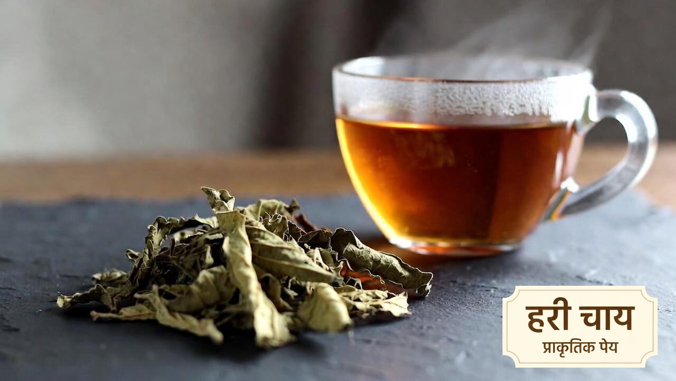 क्या मलबेरी पत्ती की चाय आपके चयापचय स्वास्थ्य के लिए दैनिक दिनचर्या में एक उपयोगी जोड़ है?