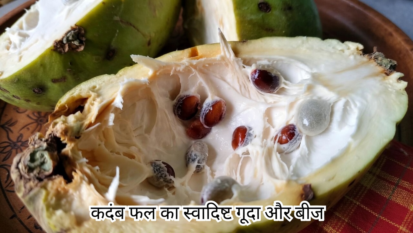 चेरीमोया: उम्र के बढ़ते वर्षों में बेहतर एंटीऑक्सीडेंट सहयोग के लिए इस मलाईदार उष्णकटिबंधीय फल को शामिल करने के 10 आसान तरीके