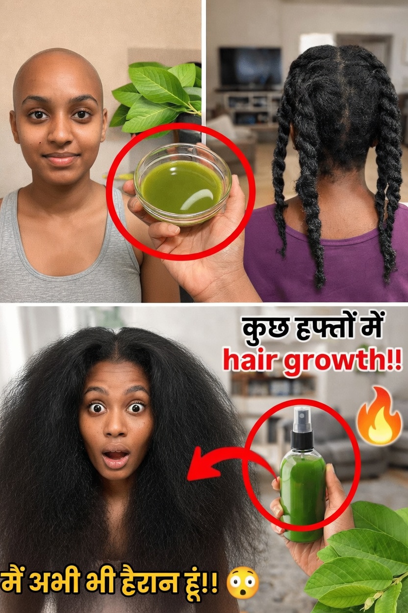 क्या अमरूद की पत्तियाँ स्वस्थ बालों में सहायक हो सकती हैं? संभावित लाभ और उन्हें उपयोग करने का तरीका