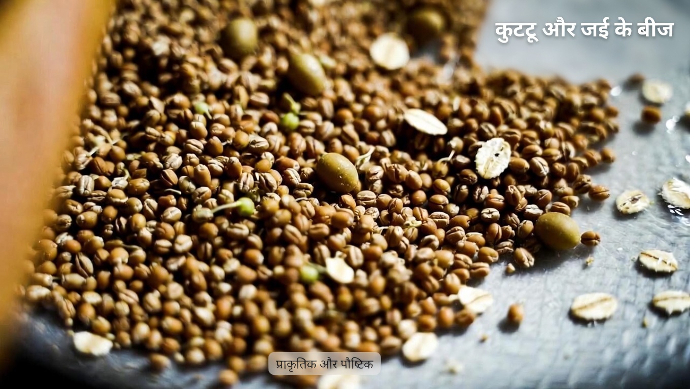 रक्त शर्करा नियंत्रित करने वालों के लिए सर्वोत्तम ब्रेड: विचार करने योग्य लो-जीआई विकल्प