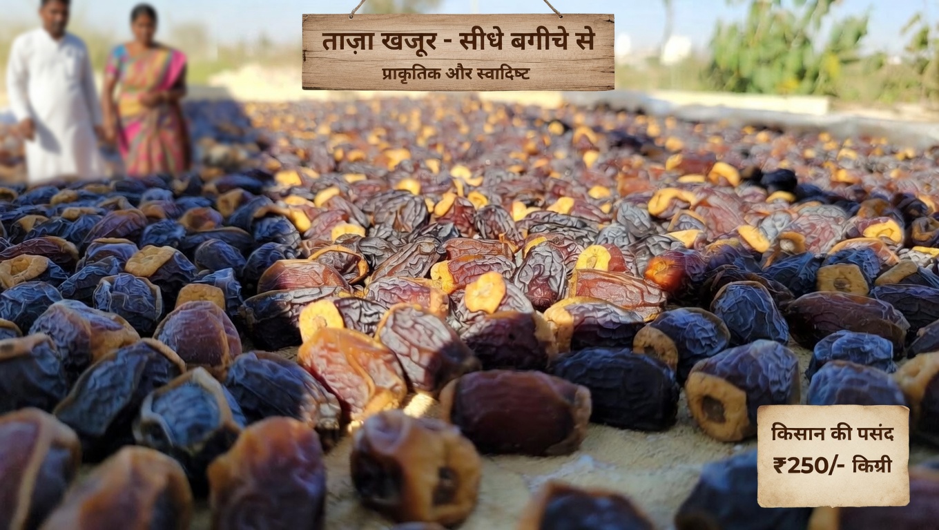 क्या अपनी रोज़मर्रा की दिनचर्या में खजूर शामिल करना बढ़ती उम्र के साथ आपकी हड्डियों के स्वास्थ्य को सहारा दे सकता है?