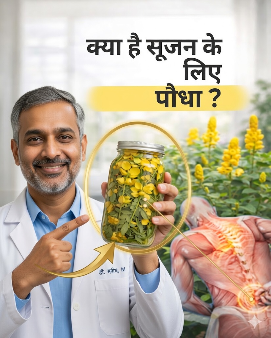 त्वचा के स्वास्थ्य और प्राकृतिक कल्याण के लिए कैंडिलियो (सेन्ना अलेटा) पौधे का उपयोग कैसे करें