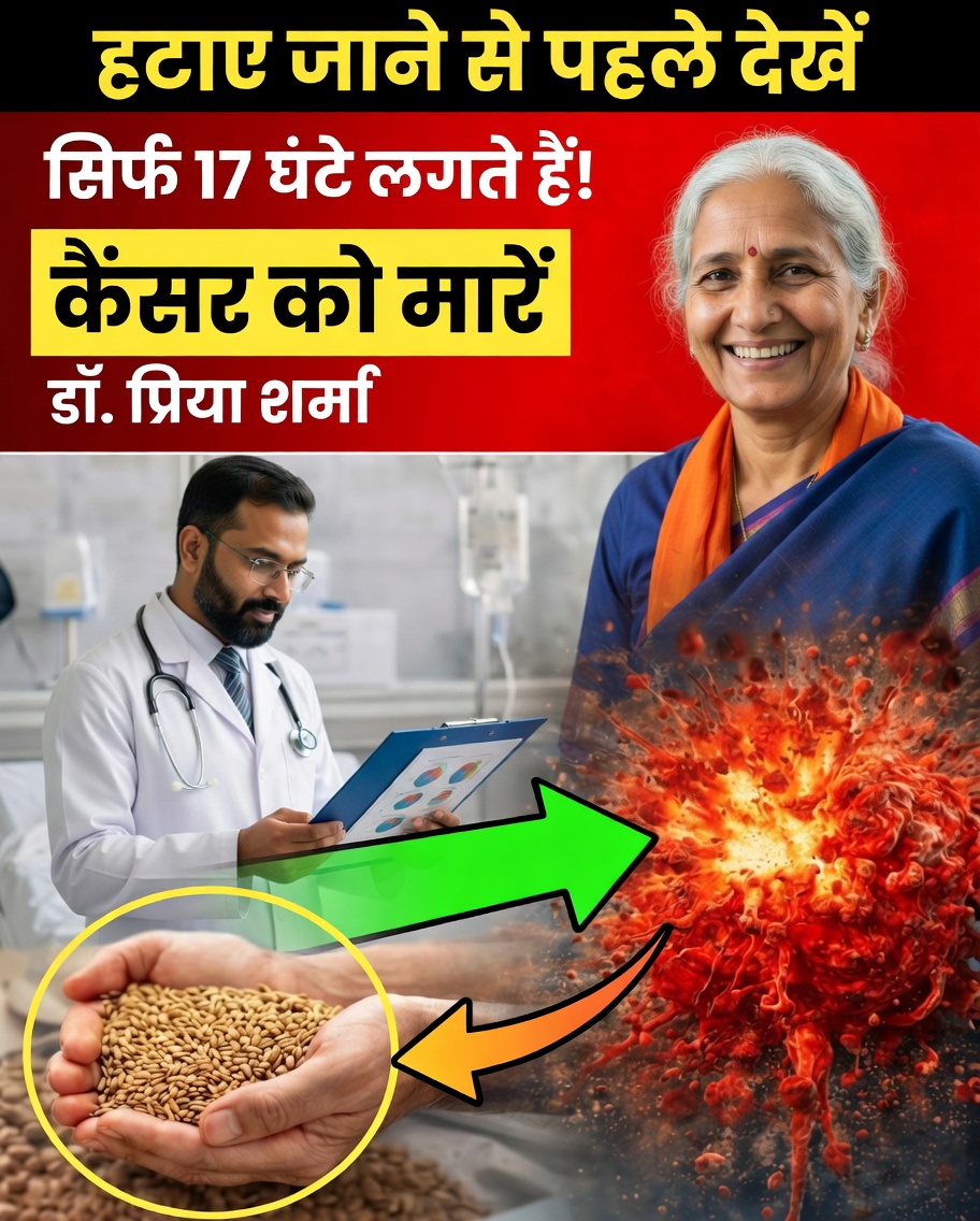 क्या कुछ खाद्य पदार्थों से कैंसर डरता है? 11 विकल्प जो आपको चुपचाप सुरक्षा दे सकते हैं