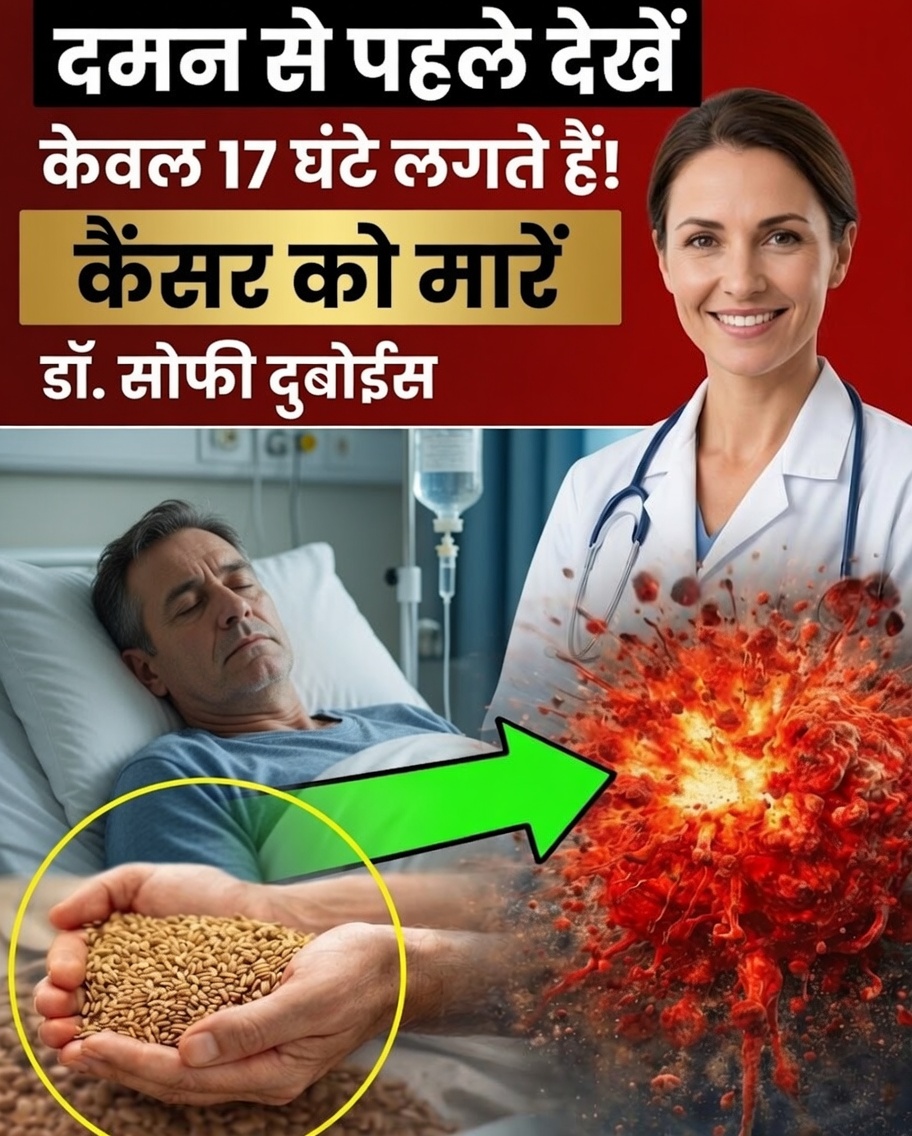 क्या कैंसर कुछ खाद्य पदार्थों से डरता है? 11 विकल्प जो आपको चुपचाप सुरक्षा दे सकते हैं