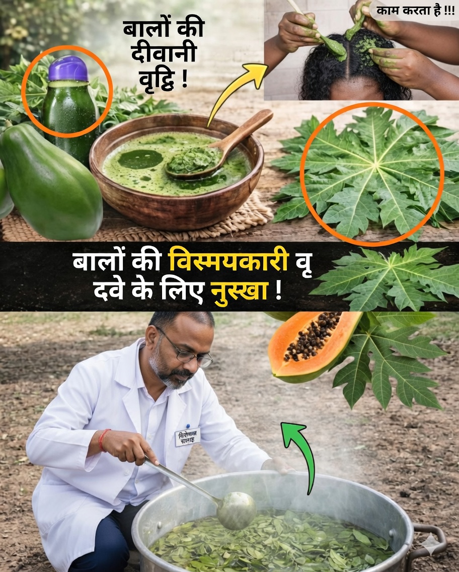 🌿 « पत्तों की शक्ति को जानिए… » : ये औषधीय पौधे वास्तव में क्या प्रदान करते हैं (बिना मिथकों में फँसे)