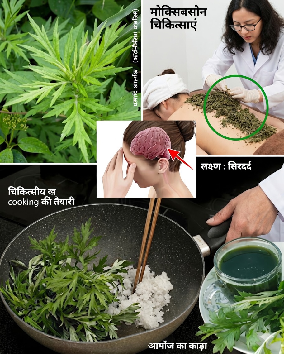 🌙 बेहतर नींद के लिए आर्म्वाज़: सुकूनभरी, तरोताज़ा नींद का प्राकृतिक रहस्य