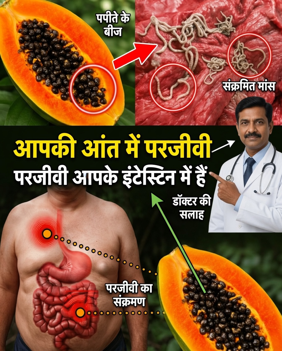 पपीते के बीज: यह बहुमूल्य “कचरा” जिसे अब आपको फेंकना नहीं चाहिए