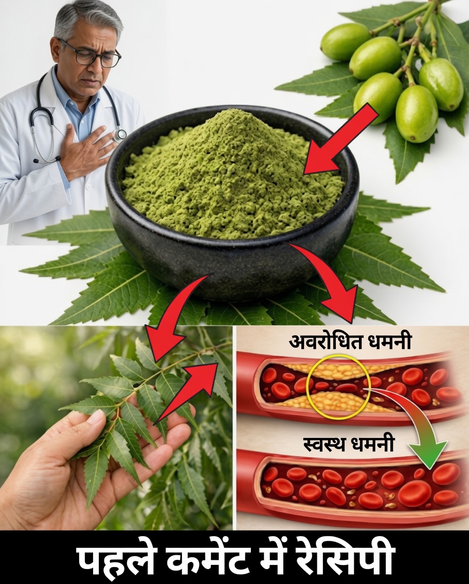 उस पत्ते की शक्ति जानें जो फेफड़ों को शुद्ध करने और साँस लेने में सुधार करने में मदद करता है