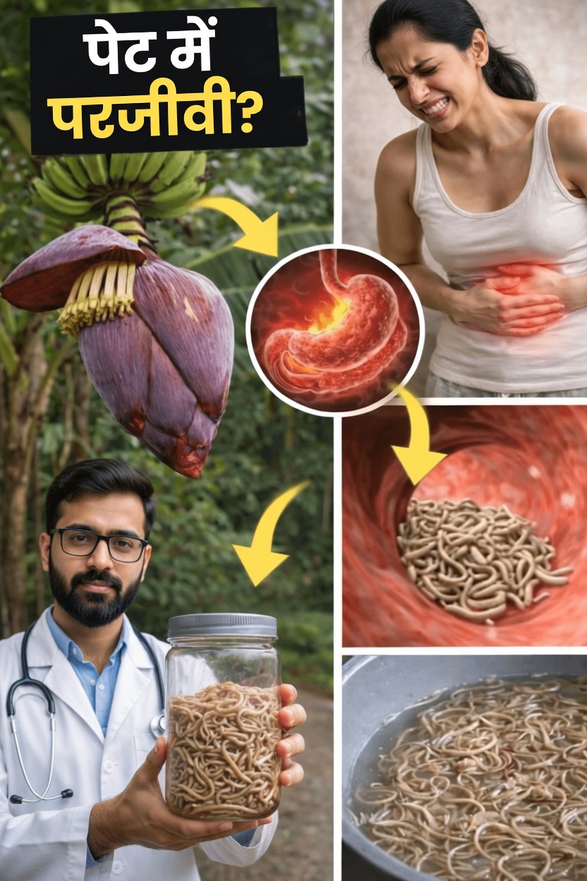 केले के फूल की चौंकाने वाली सेहतमंद क्षमता जानें: अपनी दैनिक दिनचर्या में शामिल करने योग्य पोषक तत्वों से भरपूर विकल्प