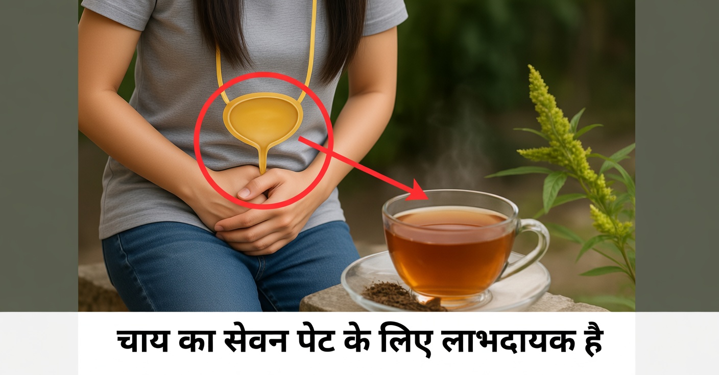 प्रोस्टेट के लिए बिछुआ और कद्दू का उपचार