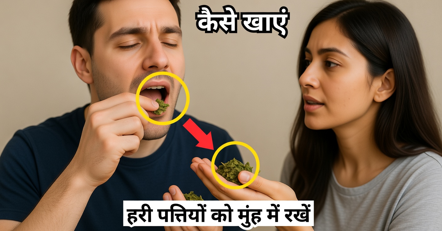 कद्दू के बीज के फायदे: अगर आप उन्हें रोज़ खाएँ तो क्या होता है