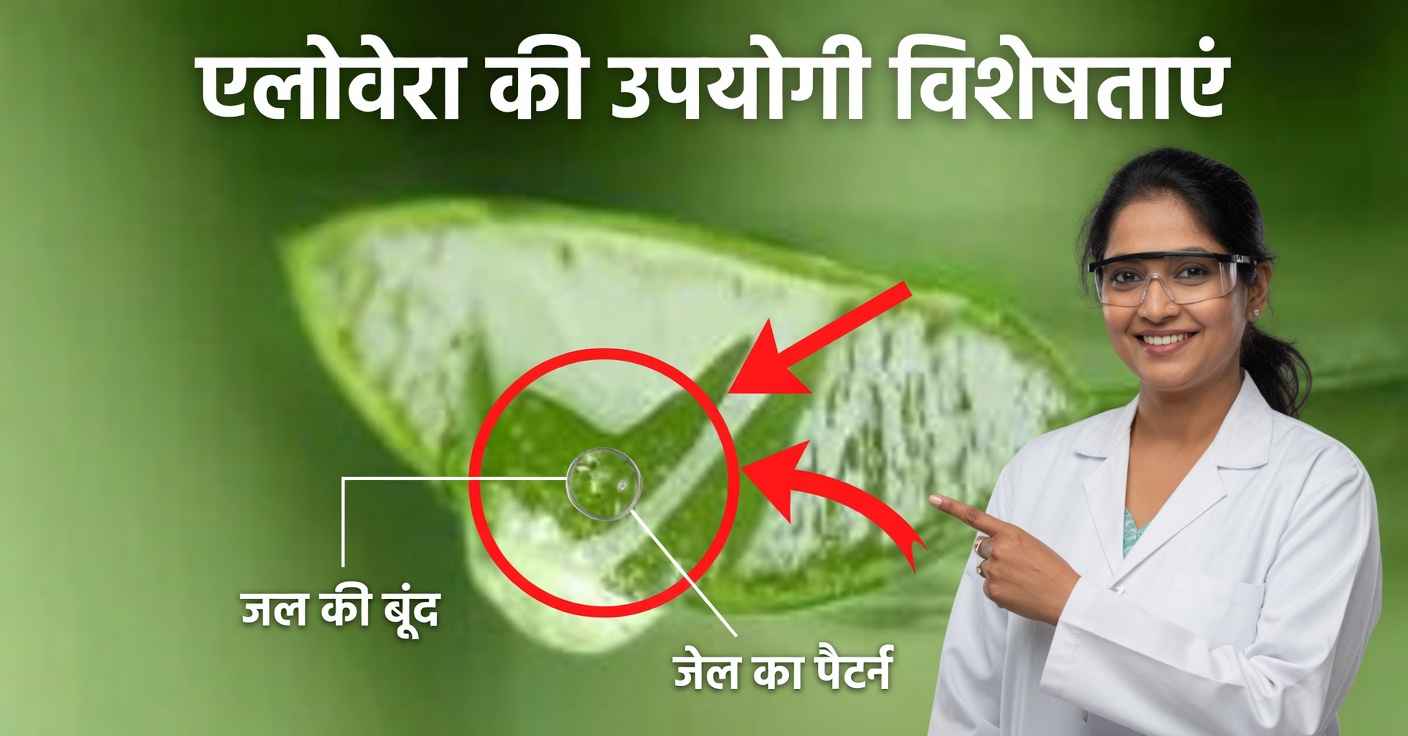 स्वास्थ्य और दृष्टि के लिए एलोवेरा और दालचीनी के फायदे