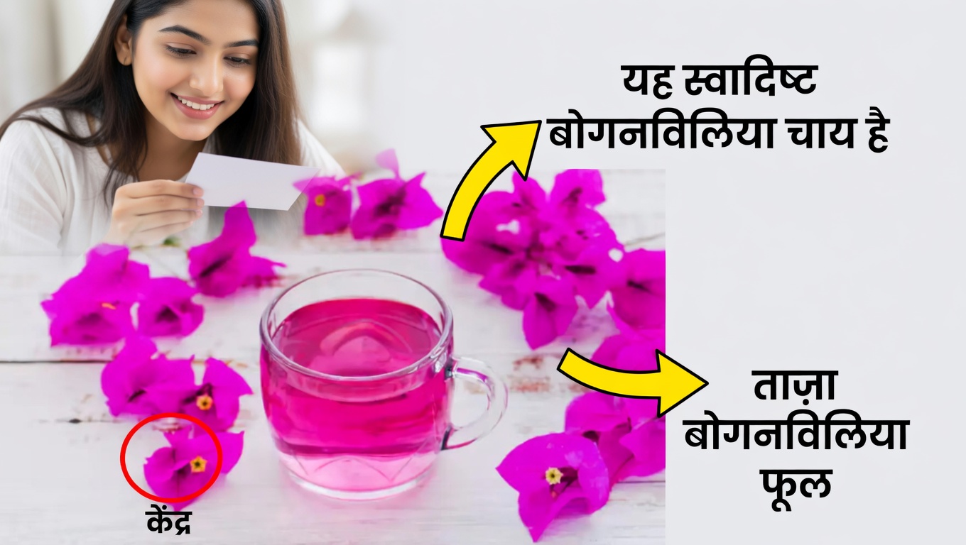 बोगनवेलिया की चाय: खाँसी और फेफड़ों के लिए प्राकृतिक राहत