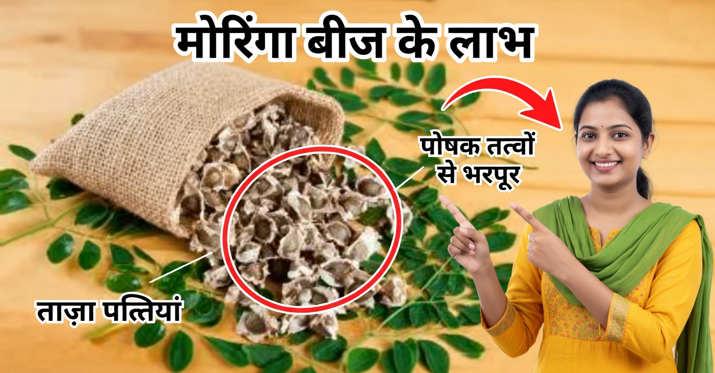 मोरिंगा के बीज: लीवर को साफ करें और कोलेस्ट्रॉल घटाएँ