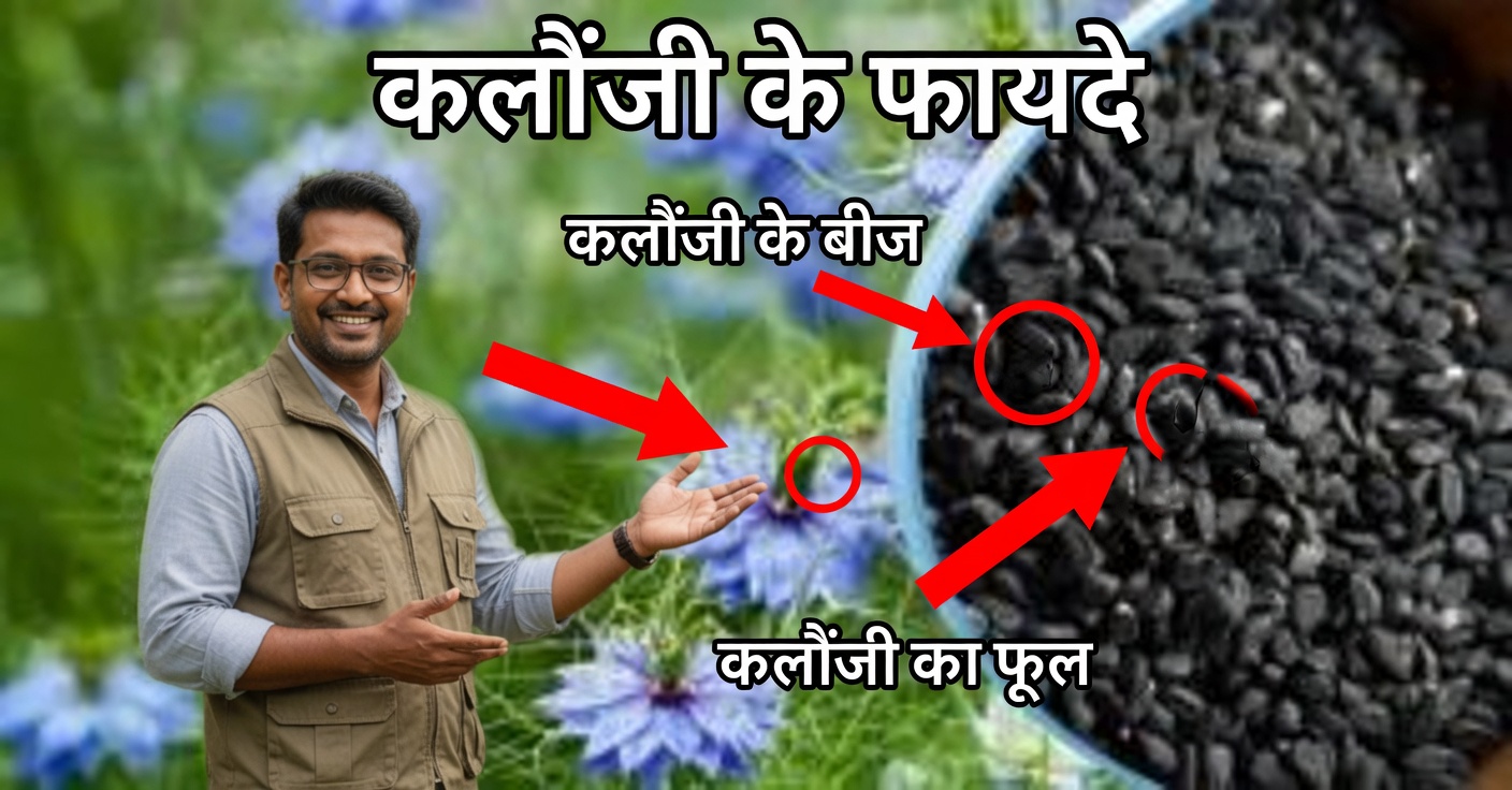 काले जीरे के फायदे: उपयोग और रेसिपी