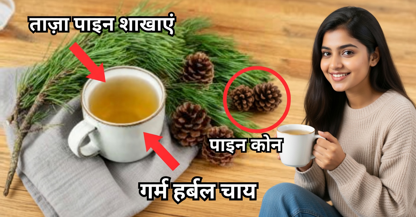 चीड़ की चाय: लाभ और इसे कैसे तैयार करें