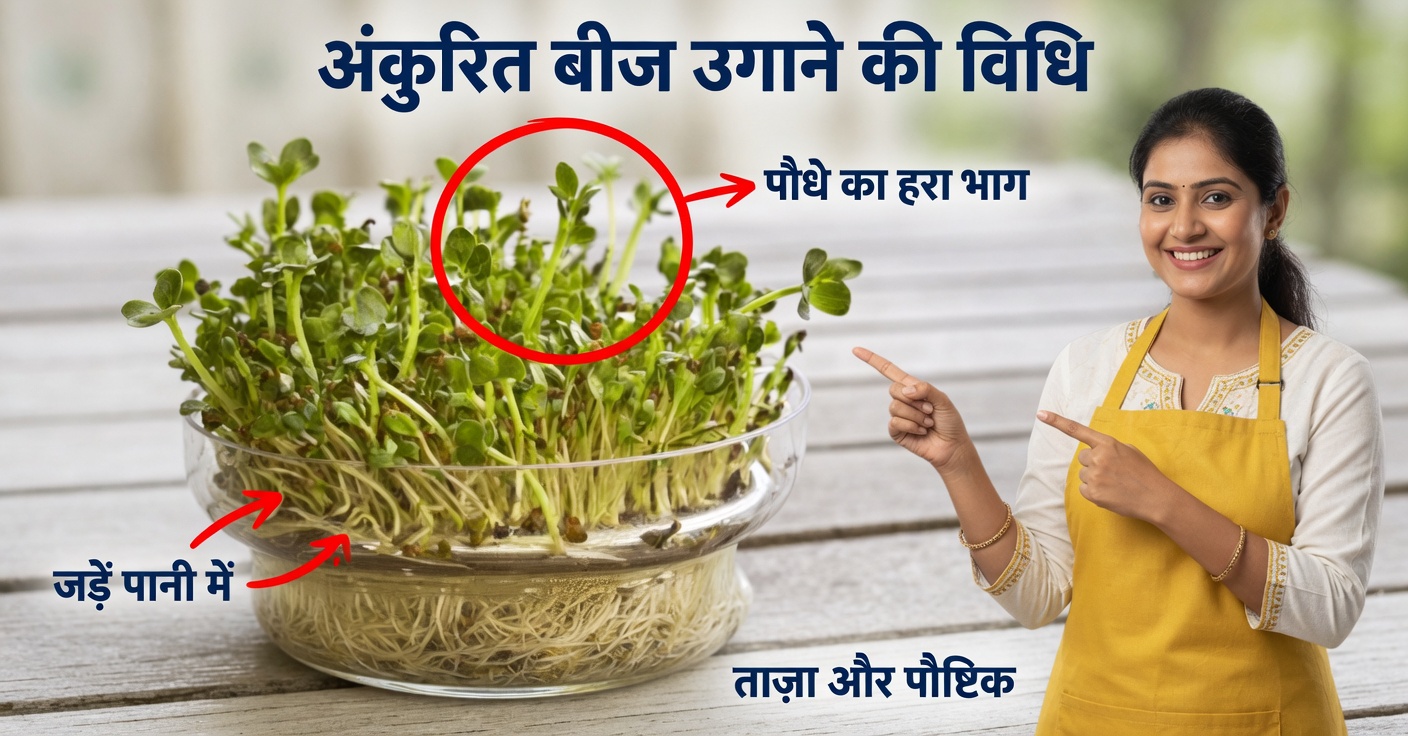 किडनी और गठिया के लिए अल्फाल्फा