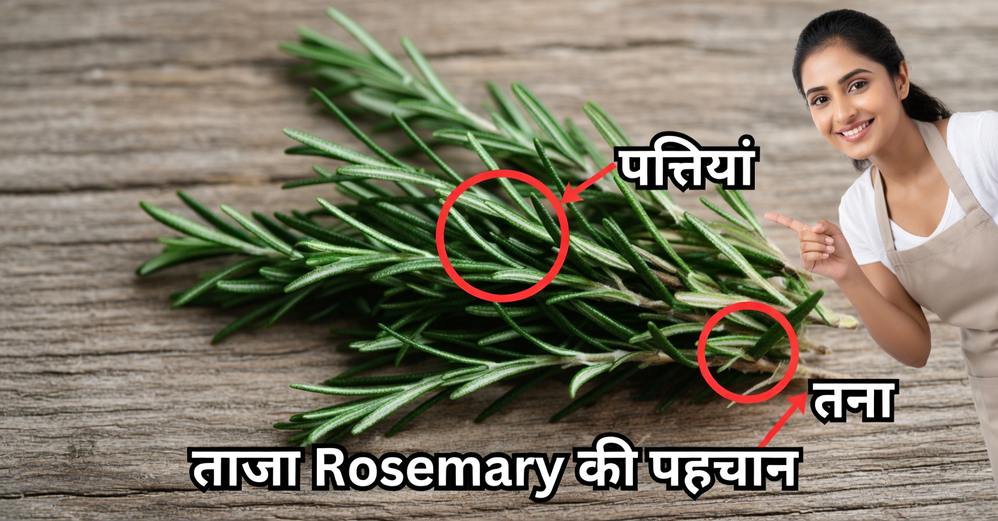 आपके स्वास्थ्य के लिए रोज़मेरी के लाभ