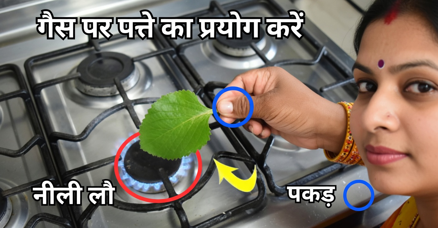 ओरिगैनो ओरेखोन की पत्तियों को गर्म करने के लाभ