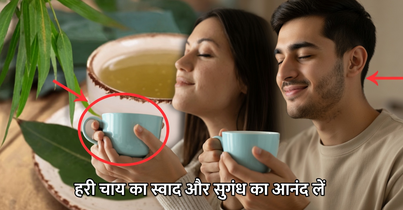 यूकेलिप्टस के फायदे: औषधीय उपयोग और उनका लाभ कैसे उठाएँ