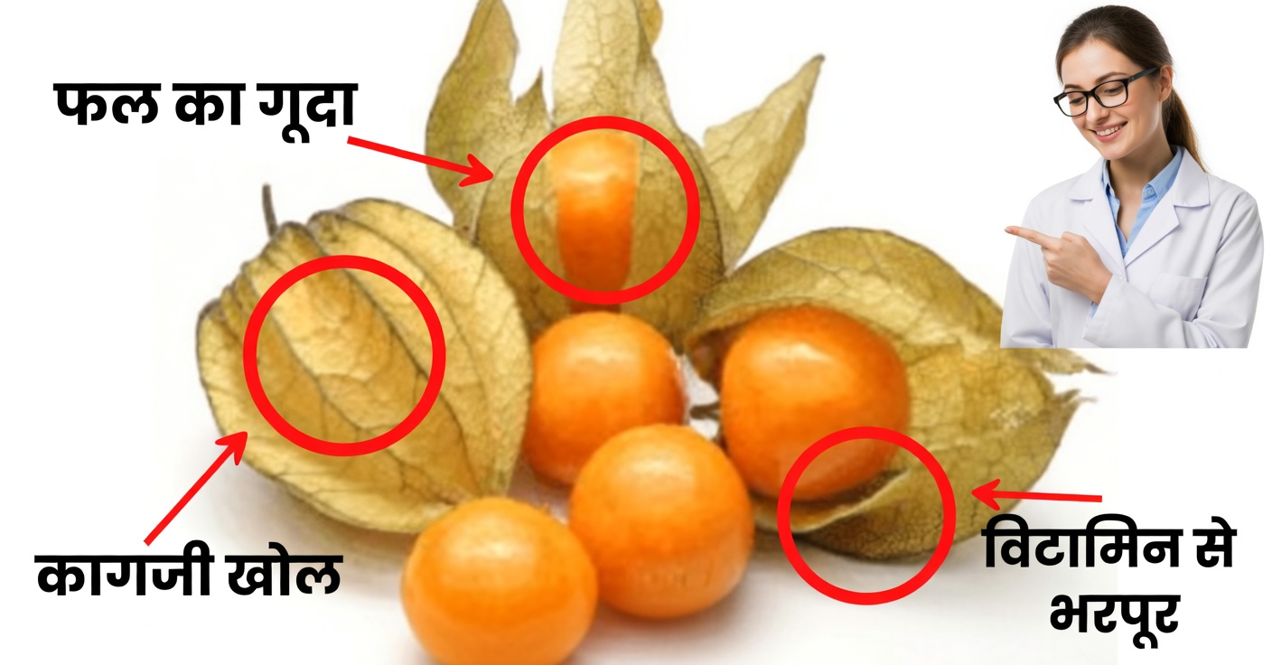 आँखों की सेहत के लिए उचुवा: फायदे, रेसिपी और ज़रूरी सावधानियाँ