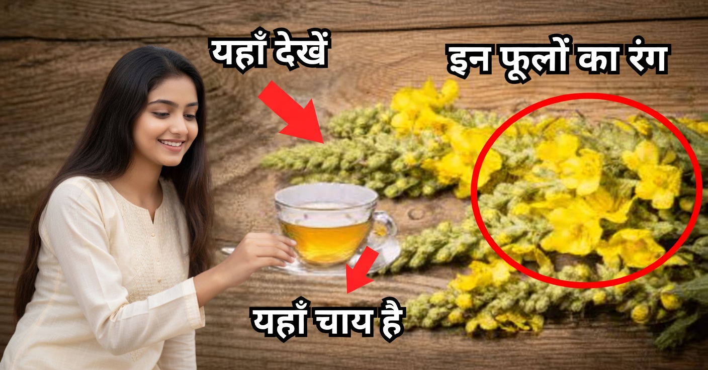 गॉर्डोलोबो: उपयोग, लाभ और प्राकृतिक नुस्खे