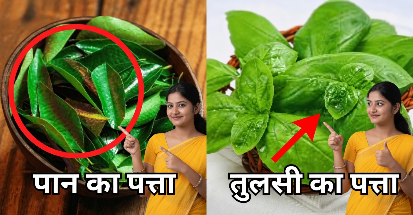 आंखों की सेहत के लिए औषधीय पत्तियां: आपकी दृष्टि के लिए अनमोल सहायक