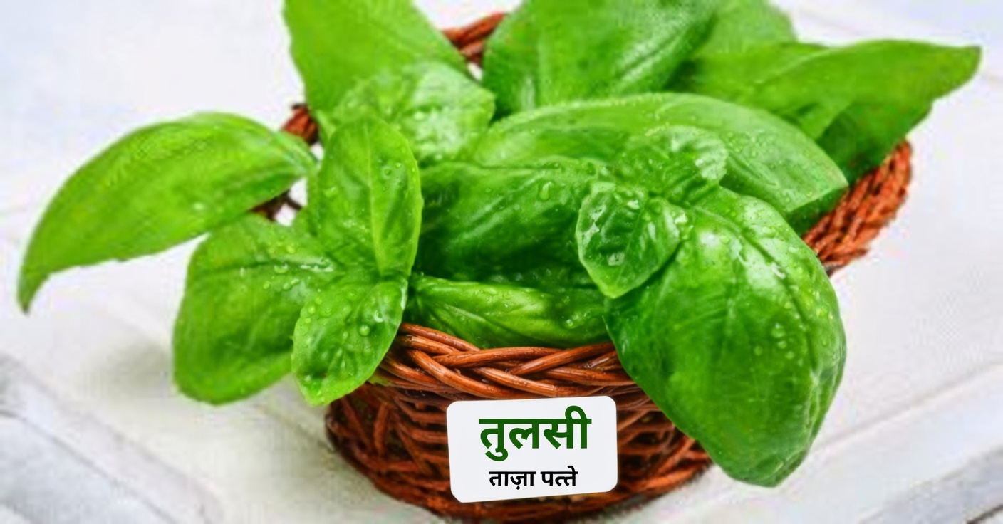 आंखों की सेहत के लिए औषधीय पत्तियां: आपकी दृष्टि के लिए अनमोल सहायक