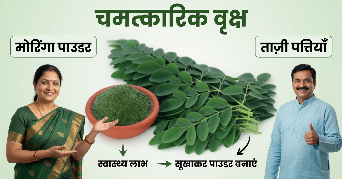 आंखों की सेहत के लिए औषधीय पत्तियां: आपकी दृष्टि के लिए अनमोल सहायक