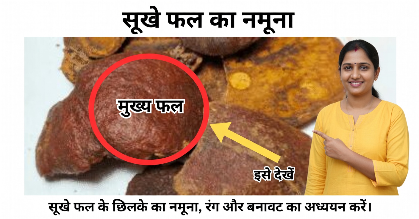 उबले हुए अनार के छिलके के फायदे