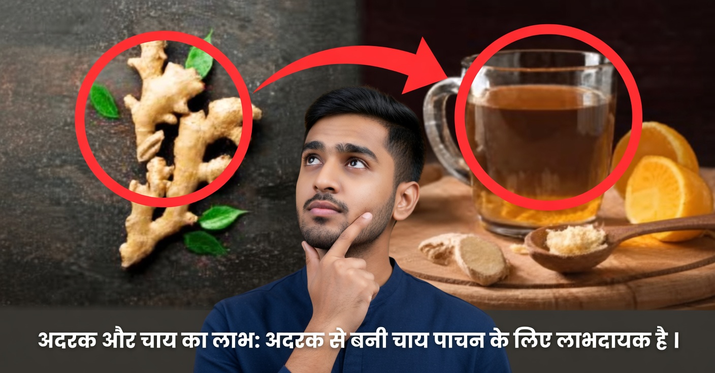 आपको रोज़ाना अदरक क्यों लेना चाहिए?
